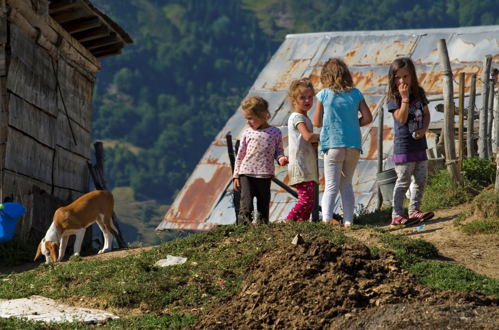 Czarnogóra - Dzieci z katunu nad Doliną Jarski